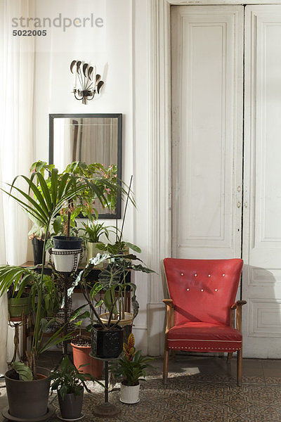 Topfpflanzen und Stuhl im Wohnbereich