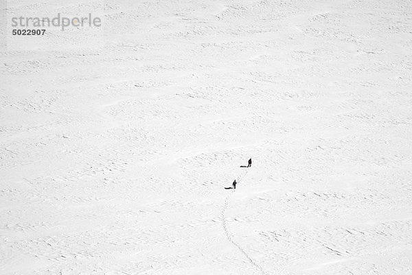 bedecken  Mensch  Menschen  gehen  Feld  Schnee