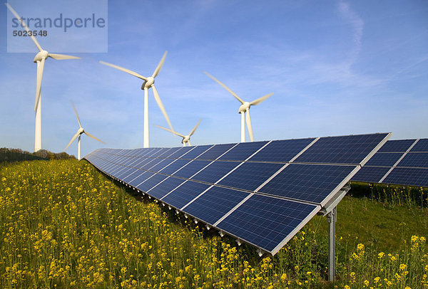 Solarmodule und Windkraftanlagen im Feld