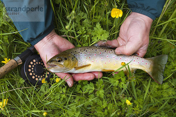 Fischer mit Bachforelle im Gras