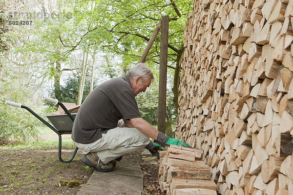 Älterer Mann stapelt Holz in Schubkarre