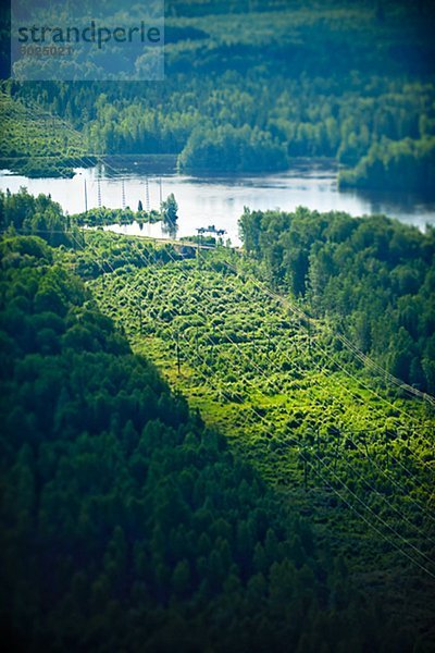 Ansicht des Flusses mit Wald