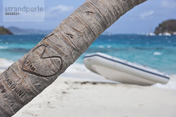 Form Formen Strand Baum schnitzen Palme herzförmig Herz