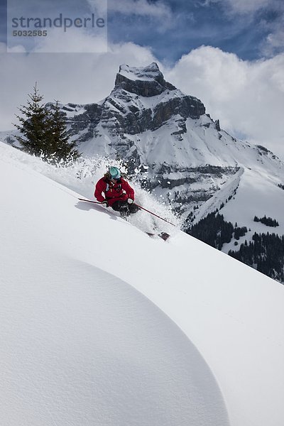 Skifahrer Feld Skisport Schnee