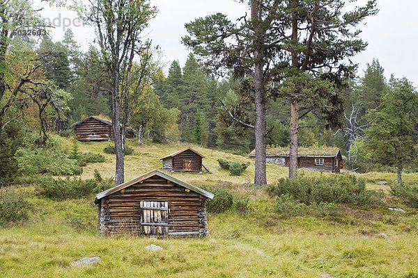 Gebäude Wald