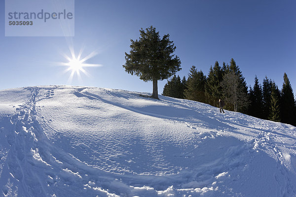 Frauenwanderung auf dem Zwieselberg mit Wanderweg im Vordergrund