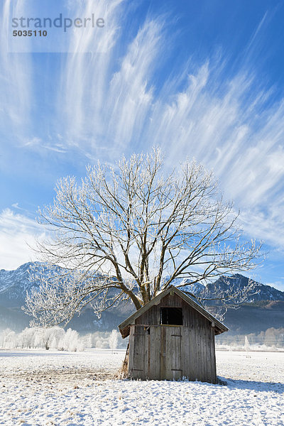 Deutschland  Bayern  Blick auf Hütte mit Baum und Bergen im bayerischen Voralpenland am frostigen Morgen