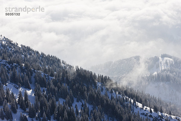 Süddeutschland  Oberbayern  Bayrischzell  Blick vom Wendelstein auf den Wald