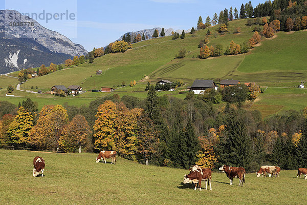 Österreich  Steiermark  Blick auf das Seewigtal in den Schladminger Tauern
