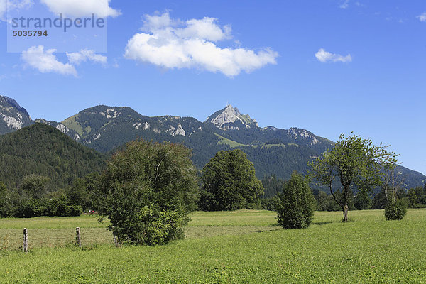 Deutschland  Bayern  Oberbayern  Blick auf Wendelstein und Schweinsberg