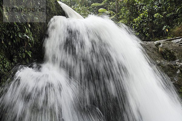 Costa Rica  Las Horquetas  Rara Avis  Blick auf den Wasserfall