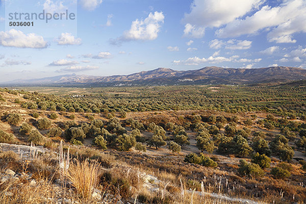 Griechenland  Kreta  Messara-Tal  Blick auf die Landschaft mit Büschen und Bergen im Hintergrund