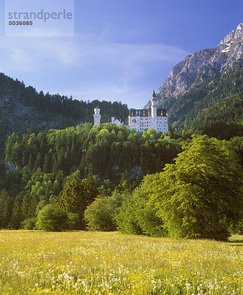 Deutschland  Bayern  Schwaben  Allgäu  Blick auf Schloss Neuschwanstein