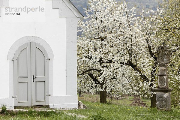 Deutschland  Bayern  Franken  Fränkische Schweiz  Pretzfeld  Blick auf Kirschblüten bei Kapelle
