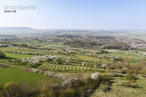 Deutschland  Bayern  Franken  Fränkische Schweiz  Wiesenthau  Schlaifhausen  Blick auf Landschaft mit Kirschblüten