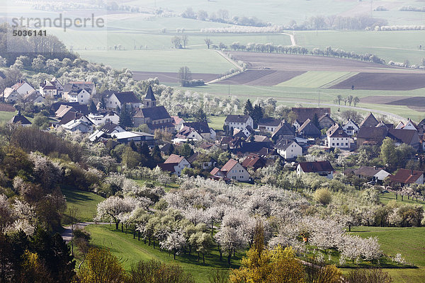 Deutschland  Bayern  Franken  Fränkische Schweiz  Schlaifhausen  Stadtansicht mit Kirschbäumen