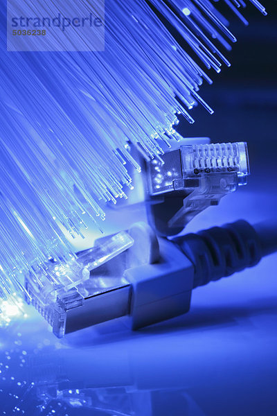 Blaue Faserleuchte mit Ethernetkabel  Nahaufnahme