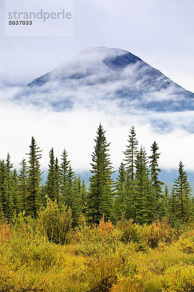 Berg  Wolke  Baum  Ereignis  Kiefer  Pinus sylvestris  Kiefern  Föhren  Pinie  Küsten-Kiefer  Pinus contorta  Herbst  Banff Nationalpark  Wolkengebilde  Alberta  Kanada