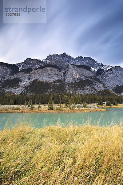 Windblown Gräser auf Cascade Teich und Cascade Mountain. Banff-Nationalpark  Alberta  Kanada.