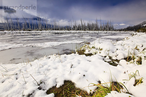 Frische Schneefall auf den Seen Vermillion. Banff-Nationalpark  Alberta  Kanada.