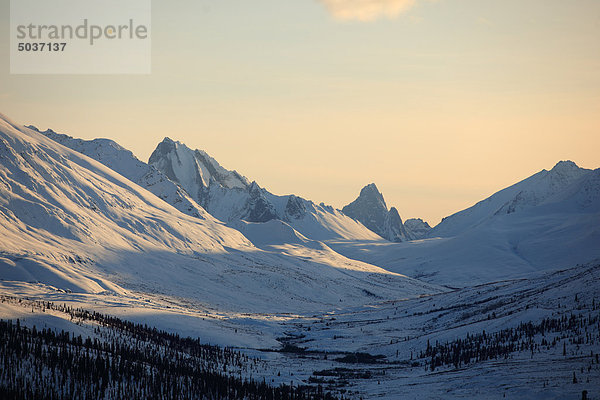 Winterszene des Klondike-Tals mit Tombstone Berg am Horizont  Dempster Highway  Yukon.