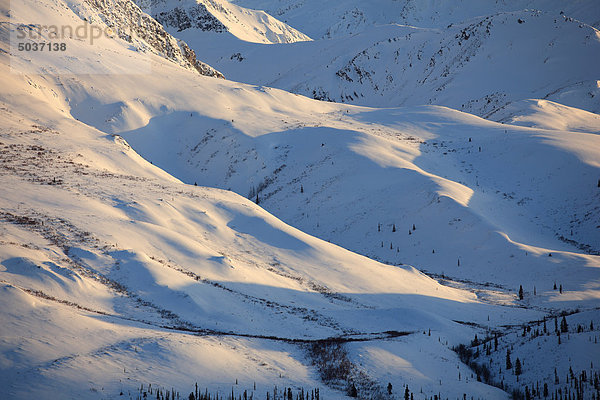 Winterszene entlang der Dempster Highway  Yukon  Kanada