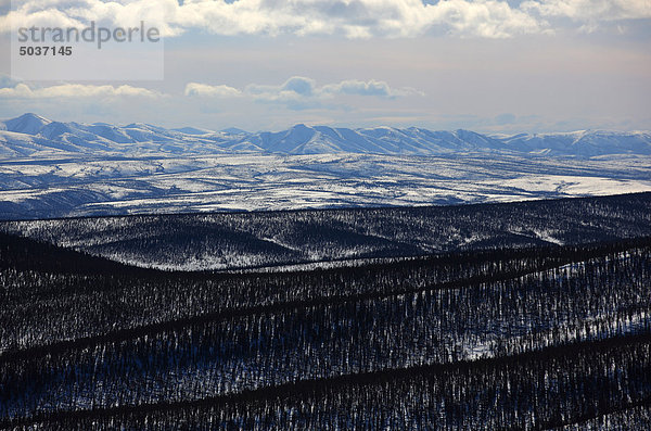 Die Ogilvie Mountains  gesehen in der Ferne von Eagle Plains  Yukon  Kanada