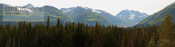 Das Laub auf den Bergen außerhalb des Haines Junction  Yukon  Kanada