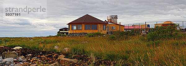 Eisbär Ursus maritimus nahe liegend liegen liegt liegendes liegender liegende daliegen Fluss Lodge Landhaus Erbe Seetang Robbe