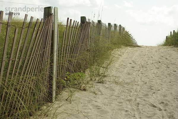 Zaun zwischen Pfad zum Strand und geschützten Grünflächen  South Beach  Miami  Florida  USA