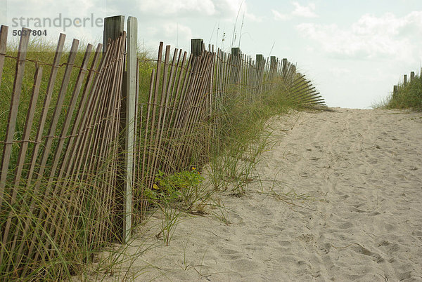 Verwitterte Zeder Zaun  South Beach  Miami  Florida  USA