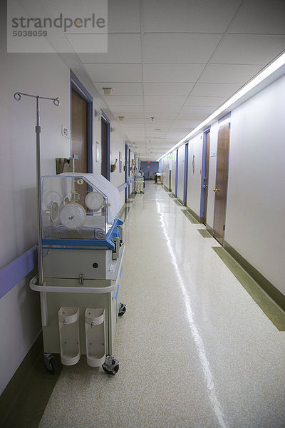 Korridor mit Gründerzentren in Entbindungsstation  Women's College Hospital in Toronto  Ontario  Kanada