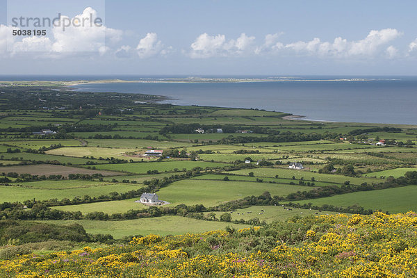 Dingle-Halbinsel  County Kerry  Irland