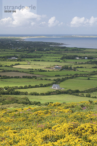 Dingle-Halbinsel  County Kerry  Irland