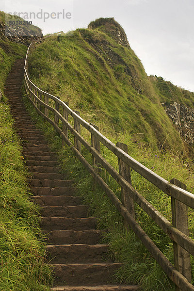 Treppe  Giant's Causeway  Bushmills  County Antrim  Nordirland