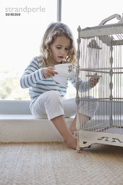 Süßes kleines Mädchen spielt mit einem Spielzeugvogel und Vogelkäfig