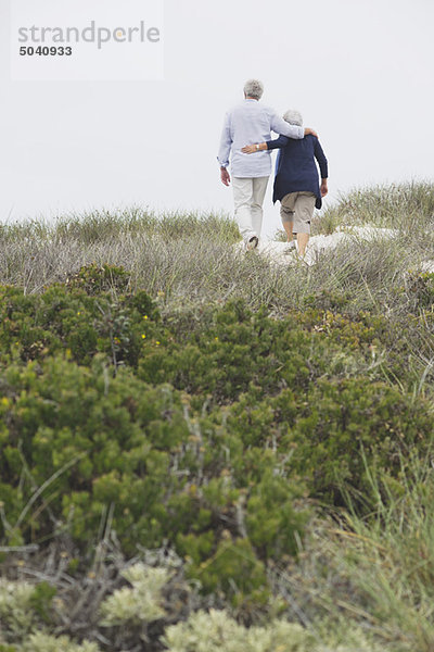 Rückansicht eines Seniorenpaares  das mit den Armen um den Strand läuft