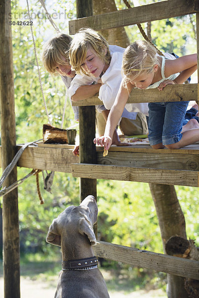 Kinder beim Füttern eines Hundes aus dem Baumhaus