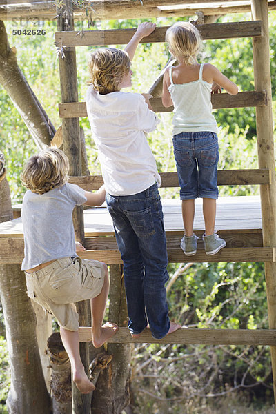Rückansicht der Kinder beim Aufstieg auf Leitern zum Baumhaus