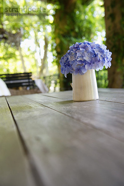 Blumentopf auf einem Tisch