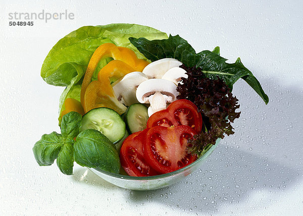 Salat mit Tomaten  Basilikum  Gurken  Champignons  Paprika  Löwenzahn  Frisee