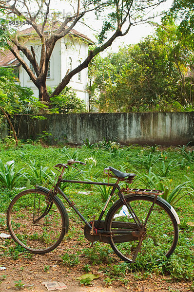 Fahrrad  Fort Cochin  Kerala
