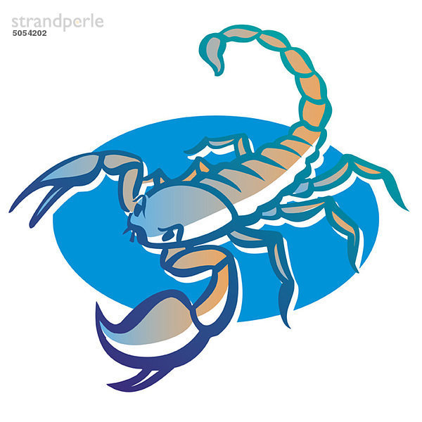 Skorpion Sternzeichen  Illustration