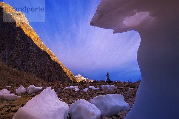 Eisberge bei Sonnenaufgang  Mount Edith Cavell  Jasper-Nationalpark  Alberta  Kanada