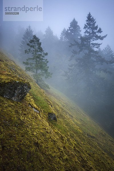 Blick von der Bodega Ridge Trail auf Galiano Island  British Columbia  canad