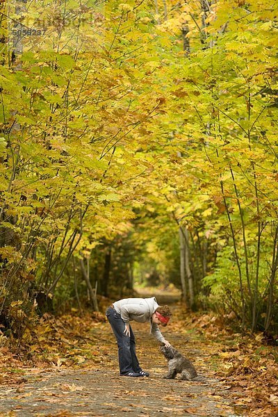 Greenways und Gehwege vorhanden im gesamten Tal Comox und Herbst ist eine besonders schöne Zeit  die Wanderwege zu schlagen. Courtenay  der Comox Valley  Vancouver Island  British Columbia  Kanada.