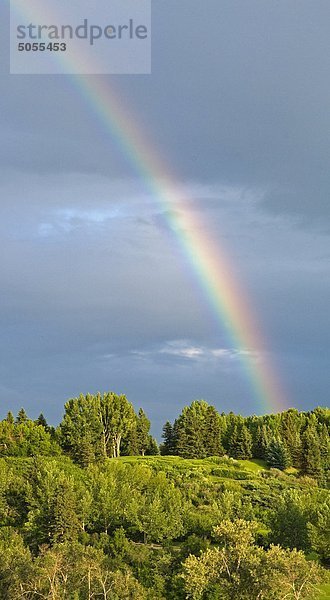 Regenbogen über Calgary  Alberta  Kanada