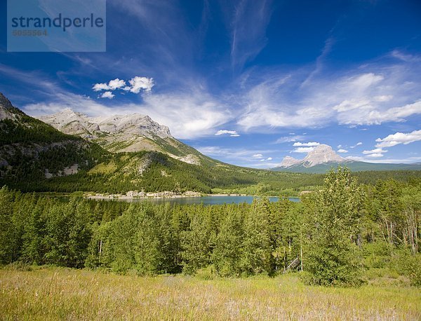 Crowsnest Pass  Alberta  Kanada