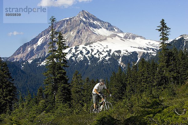 Mountain-Bike  Whistler  BC  Kanada