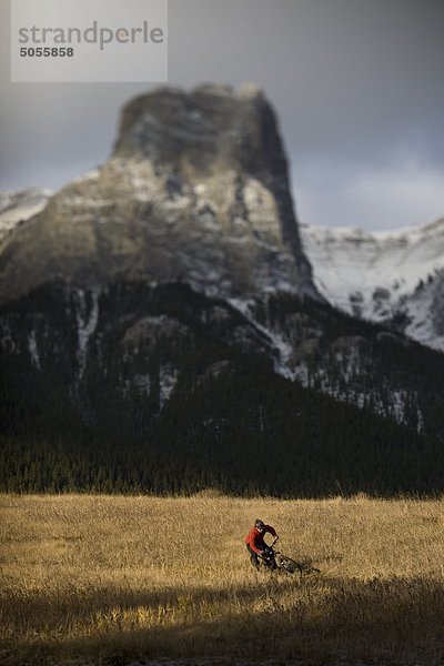 Männlich Mountainbiker genießen die Canmore Nordic Center-Wege im Herbst  Canmore  AB